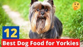 12 Best Dog Foods for Yorkies in 2022