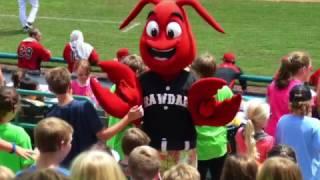 Hickory Crawdads Have A Great Summer Prepared For You!