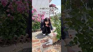 힐스테이트 더샵 상생공원 2본부3팀 그녀들의 일상탈출 #쇼츠 #포항두리부동산 #힐스테이트더샵상생공원 #포항분양 #포항투자 #포항아파트 #아이딜릭 #카페아이딜릭