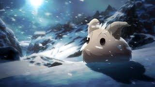 Das Leben eines Poros