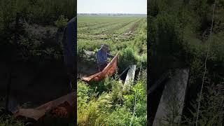 A Dam in a Ditch   4K #irrigation #irrigationdam #ditch #farming #floodcrop