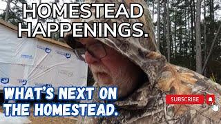 HOMESTEAD HAPPENINGS. MOVING FORWARD! 1/6/2025 Tiny house, DIY, Homesteading, Couple Builds,