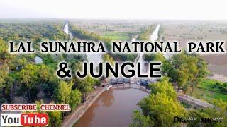 Lal Suhanra Largest Pakistan National Parks Documentary | Amazing Animals And Their Forests