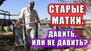 СТАРЫЕ МАТКИ. ДАВИТЬ, ИЛИ НЕ ДАВИТЬ?