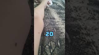 17 мая 2025 г.