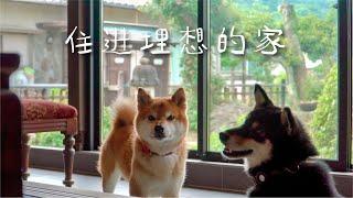 Traveling with Two Shiba dog/ Living in the Ideal Home: The Charm of Traditional Japanese Farmhouses