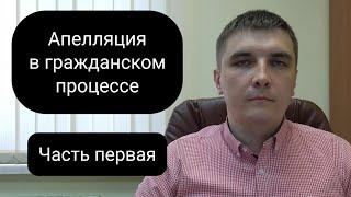 Апелляция в гражданском процессе. Часть 1.