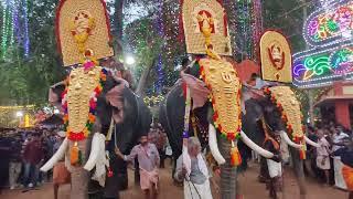 Kerala Elephants and Kuthira Eduppu at Punnamoodu Edaparambu Devi Temple Festival