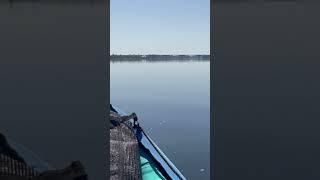 Floating Free Like a Geezer Should River Life Rocks #trending #shorts #youtubeshorts