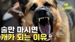 술만 마시면 개가 되는 이유 [1분 심리탐험]