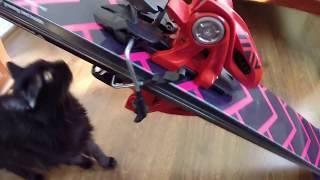 BC Corvus Marker Jester PRO