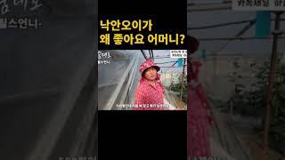#하꿈대로