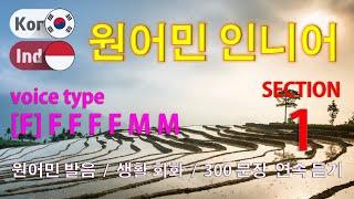 원어민 인니어 / Type [F] F F F F M M [Section 1] 생활 회화. / 짧고 쉬운 300문장 연속듣기