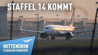 Staffel 14 kommt! | Mittendrin - Flughafen Frankfurt | Trailer