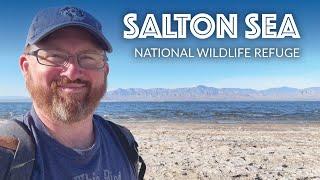 Salton Sea - Things to Do (Bombay Beach, Salvation Mountain & More!)