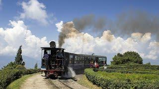 Darjeeling Sightseeling Tour | Darjeeling একদিনে কোথায় কোথায় ঘোরা যায় দেখুন | Kolkatar Pulak