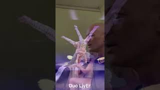 Duo LjyEr