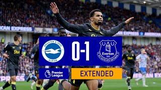 EXTENDED HIGHLIGHTS: Brighton 0-1 Everton