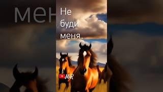 MiR - Родина моя...(Посвящение Кыргызстану).Автор и исполнитель MIRhan #музыка #music  #kyrgyzstan