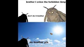 brøther, I cräve the forbidden lämp