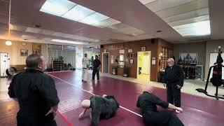 Abingdon Aikido - Seminar - 2024