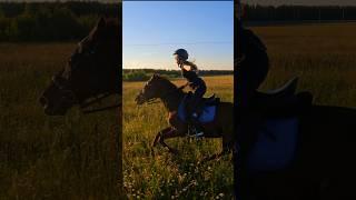 Галопом по закатному полю #horse #лошади #коноблог #лошадь #конныепрогулки #horseriding