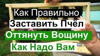 Пасека#89 Как Правильно Заставить Пчёл, Оттянуть Вощину Как надо вам Пчеловодство для начинающих