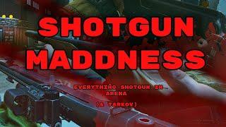 How are Shotguns in Arena ( & Tarkov ) right now ?