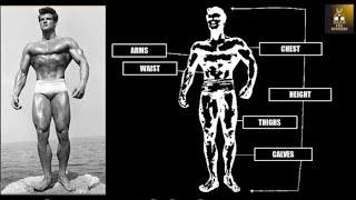 The Standards of Symmetry Explained