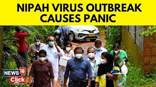 Nipah Virus Kerala News | Deadly Nipah Virus Outbreak In Kerala | Kerala Nipah Virus | News18 | N18V