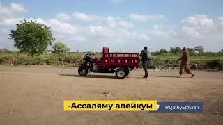 Г1ойс безликий