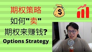 期权策略讲解 - 教你如何"卖"期权来赚钱！股票太高不敢入手？期权其实没有那么难~ 一年回报 10%+ Theta Gang Options Strategy 【+字幕】