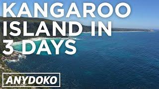 3 Day Kangaroo Island Guide! See Kangaroos and Koalas in Australia!