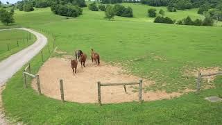 20 Acres pasture TN farm with multi-purpose barn