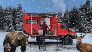 SNOW CAMPING WITH WILD ANIMALS