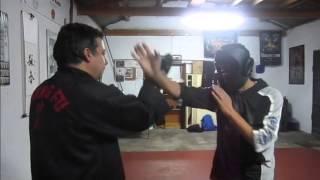 Samuel Kwok Wing Chun Martial Art Association Açores