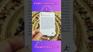 Совет Недели