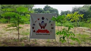 Go Green With Blessing Foundation
