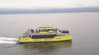 Prince of Whales Introduces New Vessel The Salish Sea Dream