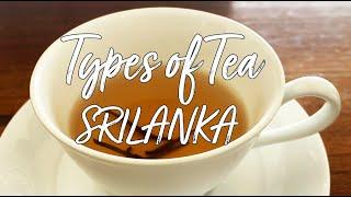 TYPES OF TEA IN SRILANKA | WORLDS MOST EXPENSIVE TEA!! WHITE TEA?