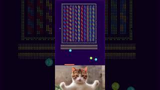 huh? chipi chipi chapa chapa #cat #cute #chipichipi #huhcat #brickbreaker #shorts