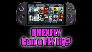 ONEXFLY - Can a FLY fly?