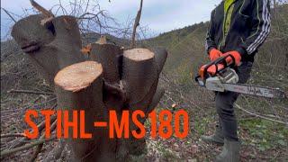 STIHL - MS 180 робота в лісі