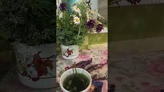 Как мы искали жилье!Не делайте наших ошибок!Часть первая Продолжение следует.