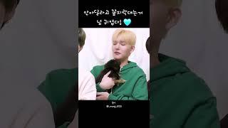 [CIX/승훈] 안아달라고 꼼지락대는거 넘 귀엽다! 🩵 #CIX #승훈