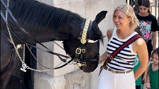 UNFORGETTABLE ADVENTURES WITH ROYAL HORSES AND TOURISTS!