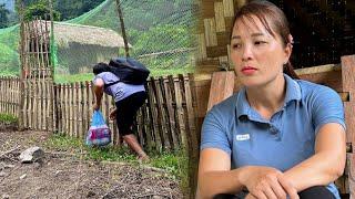 FULL VIDEO: The days Xuan left - Alone in the forest