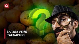 ШОК! В Беларуси пропала картошка? Провели рейд по магазинам! Какие цены на бульбу?