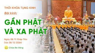 [TRỰC TIẾP] Thời khóa tụng kinh tu tập Bát quan trai giới| Ngày 08/11/Giáp Thìn