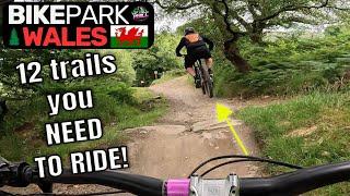 BIKE PARK WALES - 12 trails you NEED to ride.
